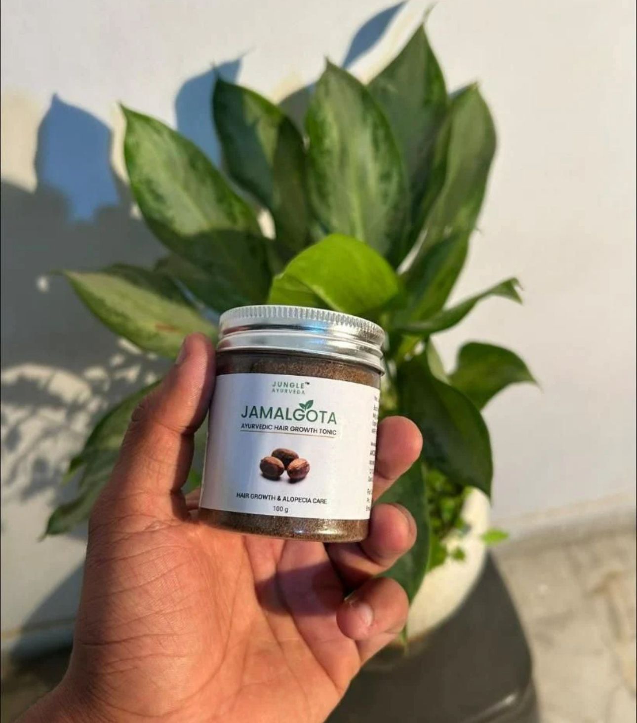 Jamalgota™ Ayurvedic Hair Growth Powder 100gm Buy 1 get 1 free